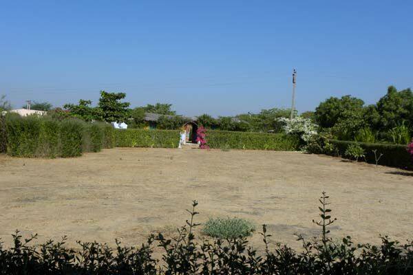 Kutch Fossils Park, Kutch 5